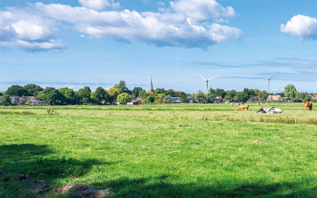 Prachtig hollands landschap, schoon en zonder afval